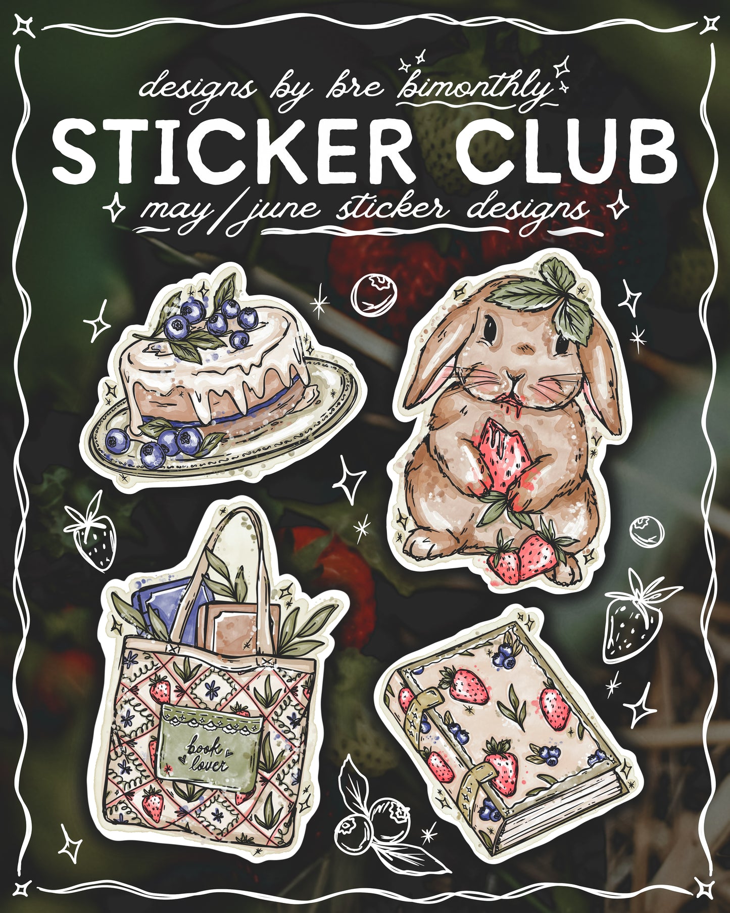 Bimonthly Sticker Club Subscription
