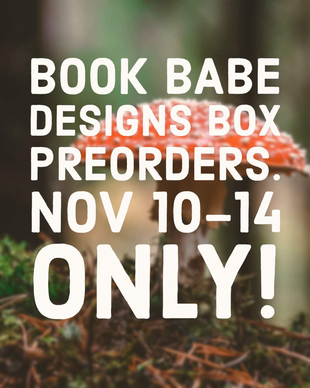 BOOK BABE DESIGNS BOX